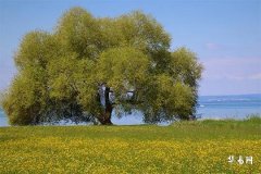 Does the day get longer after the winter solstice? Detailed explanation of reasons and customs