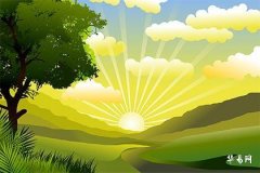 What Color Doormat is Best for a North-Facing Main Door? Understanding Doormat Selection and Placement Taboos