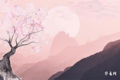 Female Ding You Day Pillar with All Earthly Branches as Peach Blossoms: Detailed Analysis of Personality, Love Views, and Requirements for a Partner
