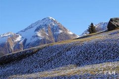 The Most Prosperous Wealth Mole for Men, Revealing Your Fortune and Financial Luck