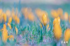 What does 'noon hour' mean, is the Wu hour an auspicious or inauspicious time?