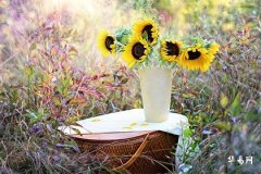 Which Side of the Desk Is the Wealth Position - Don't Miss These Feng Shui Tips for Attracting Money