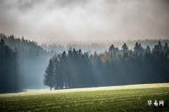 What does it mean when the Hour Pillar is in Jue (Extinction)? In which Pillar is Jue most favorable?