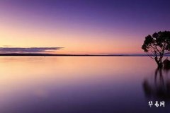 The Functions of Crystal Pixiu: Attracting Wealth and Blessings, Warding Off Evil, Purifying the Body, Promoting Sleep and Balancing Emotions