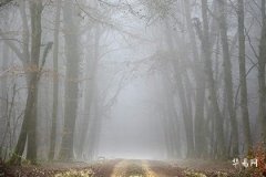 The Meaning of the Tarot Pope Card and Its Secret Guidance