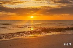 Cute and Stylish Nicknames for Baby Boys Born in the Year of the Rabbit, Lucky and Trendy