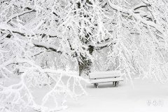 Recommended names for girls with surname Ma who are born in the Year of the Dragon, don't miss these when naming your child