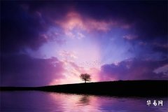 What is the fate of people born in the Year of the Rabbit during the Ox hour? Why is it said that being born in the Ox hour brings wealth?