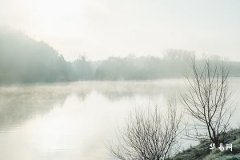 What is the fate of Ox people born in the Chou hour? Are they destined for good fortune?