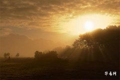 Will a person born in the Year of the Rooster have a son in 1993? In which year will someone born in 1993 and under the sign of the Rooster have a child?