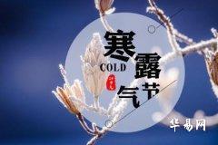 How is the fortune of a person born in the Year of the Monkey during Cold Dew?