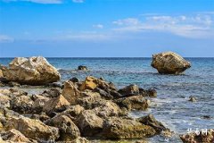 Why Father's Day Is Not as Grand as Mother's Day_How Many Roses to Give on Father's Day