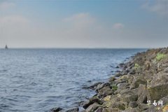 The Fate of Boys with Three Whorls: Scientific Explanations and Personality Development