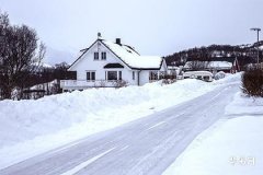 6 Types of Unlucky Men's Eyebrow Face Reading Illustrated, Understand Your Facial Fortune