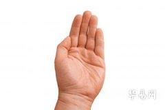 The Fate of Women with Thick Palms and Short Fingers_What Is the Fate of Women with Long, Slender Fingers