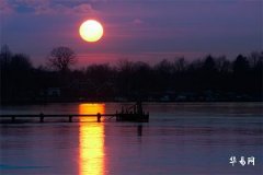 Why is the Chou hour associated with the zodiac Ox? Which organ does the Chou hour correspond to?