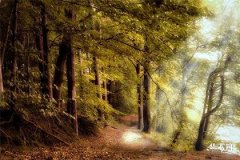 Are people born in 1990 with Earth element compatible with those born in 1995 with Fire element? Harmonious elements lead to good marital fate