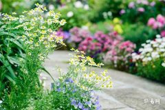 Which Year Will the Next Leap Sixth Month Occur?