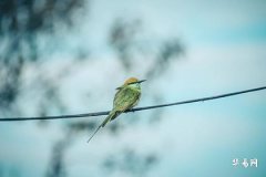 Is there really a love tribulation in your zodiac year, is it bad romance or true love?