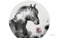 What Are the Reasons for Divorce Among Women Born in the Year of the Horse? Are They Happy in Their Second Marriage?