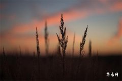 The Fate of Men with a Double-Cleft Chin: Analysis of Personality and Fortune