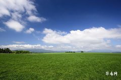 The Fate of a Man with Choppy Palms on Both Hands