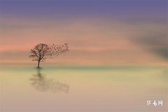 Is It True That Left Eye Twitching Means Wealth and Right Eye Twitching Means Disaster? What Does Constant Twitching of the Left Eyelid Signify