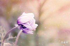 What are the customs and beliefs about getting married in the 12th lunar month, and what does it mean to not marry in this month