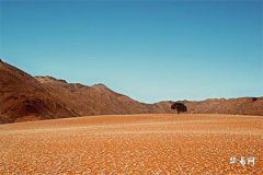 Signs Your Soulmate Is Already By Your Side – Seize the Opportunity for Happiness