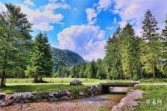 The Impact of Clashing Day Pillar for Moving In with the Female Owner's Year Pillar and Its Mitigation Strategies