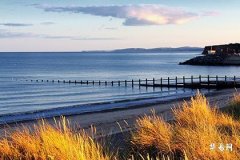 Which Direction Brings Wealth for People Born in the Year of the Tiger, Best Wealth Directions for Those Born in 1974 (Year of the Tiger)