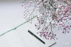 Is a Male Dog Born in the 12th Lunar Month Auspicious? Marriage Compatibility for Those Born in 1994, the Year of the Dog