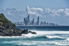 Personality and Career Traits of Jia Wood with Yi Wood in the Heavenly Stems