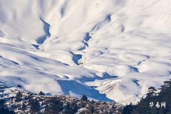 How to Calculate the Start and End of Benming Year, Taboos for People Born in the Year of the Snake