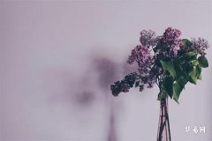 The Lovers Upright in Tarot and Its Interpretation