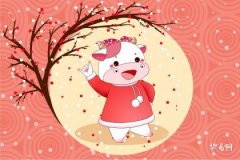 Why Should People Born in the Year of the Ox Not Wear Red Underwear? Taboos of the Zodiac Year