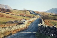 The Mystery of a Man's Destiny Revealed by the Number of Finger Whorls: Zero Whorls