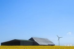 The Position and Fate of Heart-Shaped Birthmarks: Understanding the Past and Present of Birthmarks