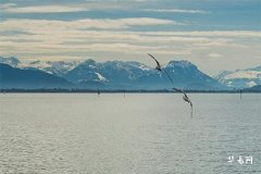 Is It Good for a Man to Have No Whorls on Fingers? A Comprehensive Analysis of Fate, Career, Love, and Health!