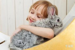 What Names Are Good for a Baby Born in the Year of the Tiger at the Monkey Hour? Recommended Grand and Auspicious Names