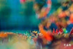 How to Determine the Auspicious Deity for Baby Naming? Understanding the Secrets and Methods of Naming