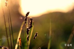 Detailed Explanation of Clashing Tai Sui, Offending Tai Sui, Punishing Tai Sui, Harming Tai Sui, Breaking Tai Sui, and Harmonizing Tai Sui