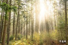 Can Old Clothes Be Given to Others to Wear? Why Shouldn't Old Clothes Be Discarded Carelessly