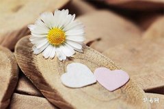 How to Differentiate Between Leap Year and Common Year? Introduction to Leap Year Judgment Methods