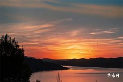 BaZi Compatibility: Analysis of Male Metal and Female Fire Element Marriage