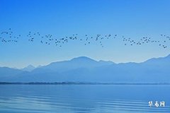 Lucky Numbers for People Born in 1975 (Rabbit), Best Colors for the Da Xi Shui Life Element