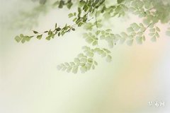 How to Use the Favorable Element for Naming