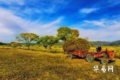 Recommended Names for Girls Born on Labor Day - 100 Elegant and Beautiful Girl Names