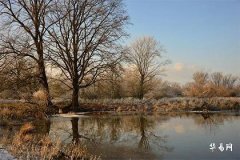 What does it mean when the Seven Killings in BaZi fortune cycle act as a useful element clashing with the Day Master? Is it favorable when the annual pillar features the Food God du