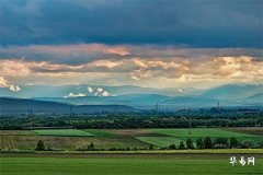 Is the marriage between a person born in 1991 with Earth element and a person born in 1988 with Wood element compatible?